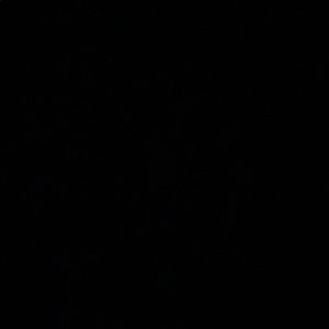 Meet your Posher, Sukh